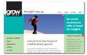 website design and development 